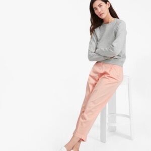 NWOT Everlane Pink Slouchy Chino Cotton Pleated Pant Size 10